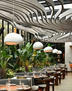 Dining area with wooden tables, cushioned chairs, lip and modern white hanging lights surrounded by tall green plants.