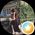 Yanjun Jiang's profile picture